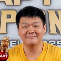 Shunping Wang