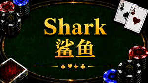 Shark 鯊魚玩家在德州撲克中的定義、特徵與策略思維
